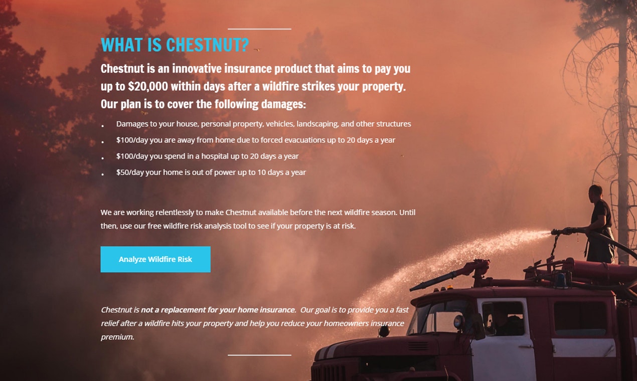 Chestnut gallery image