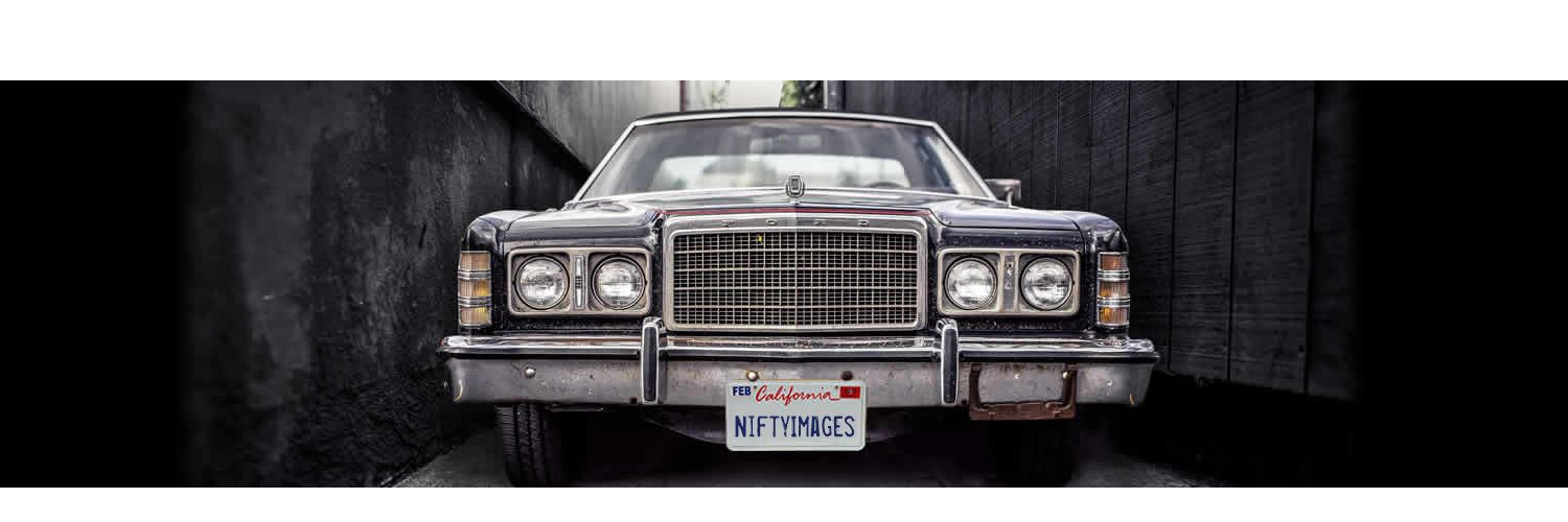 NiftyImages Widget gallery image