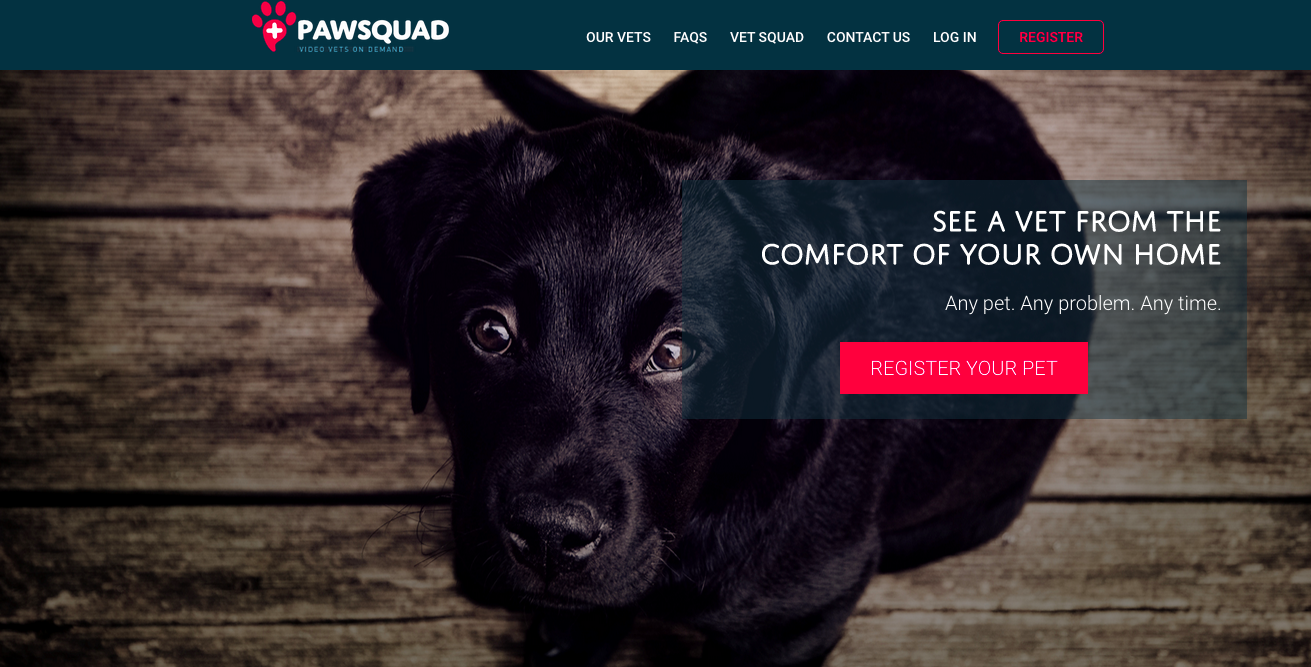 PawSquad gallery image