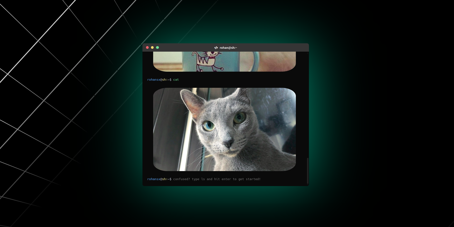 Codefolio gallery image