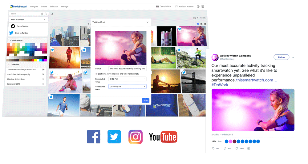 MediaBeacon gallery image