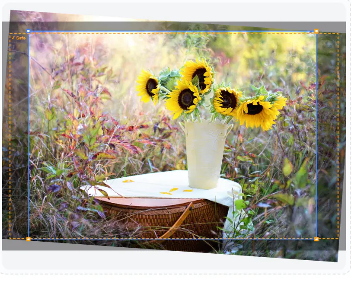 UPSSSC Photo Resizer gallery image