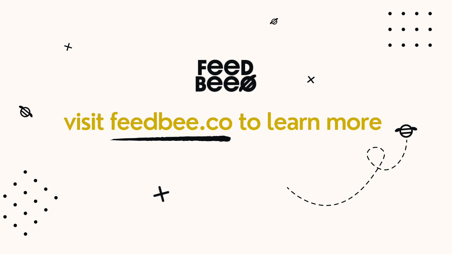 Feedbee media 6