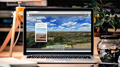 SeekBeak gallery image