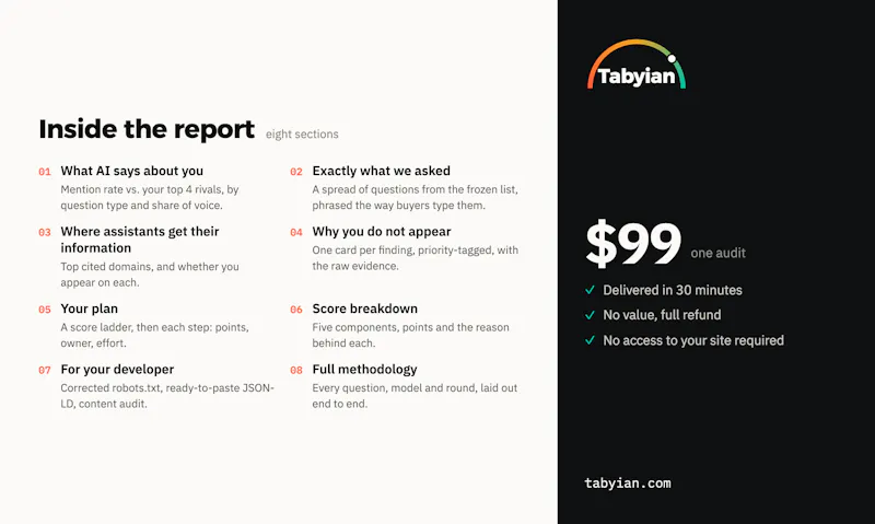 Tabyian — AI Visibility Audit screenshot 3
