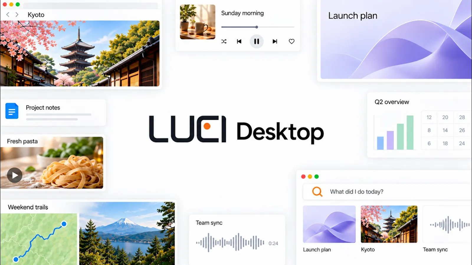 LUCI Desktop screenshot 2 (video preview)