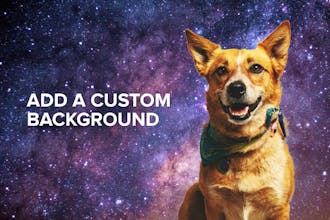 Trace 2.0 by Sticker Mule gallery image