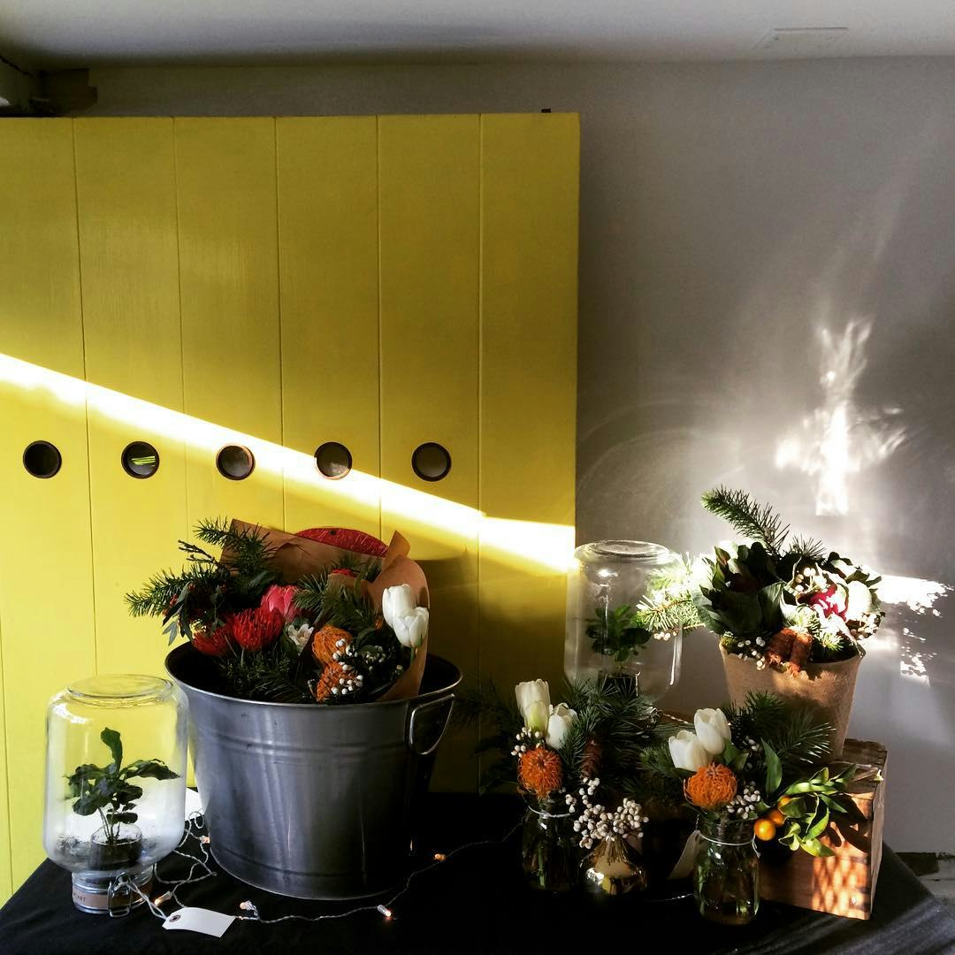 Pikaplant Jar gallery image