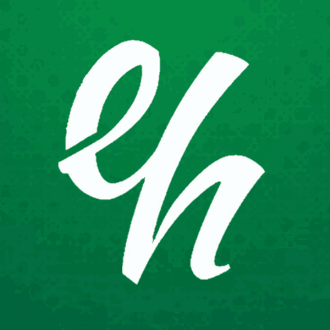 Elite Hosting Ltd