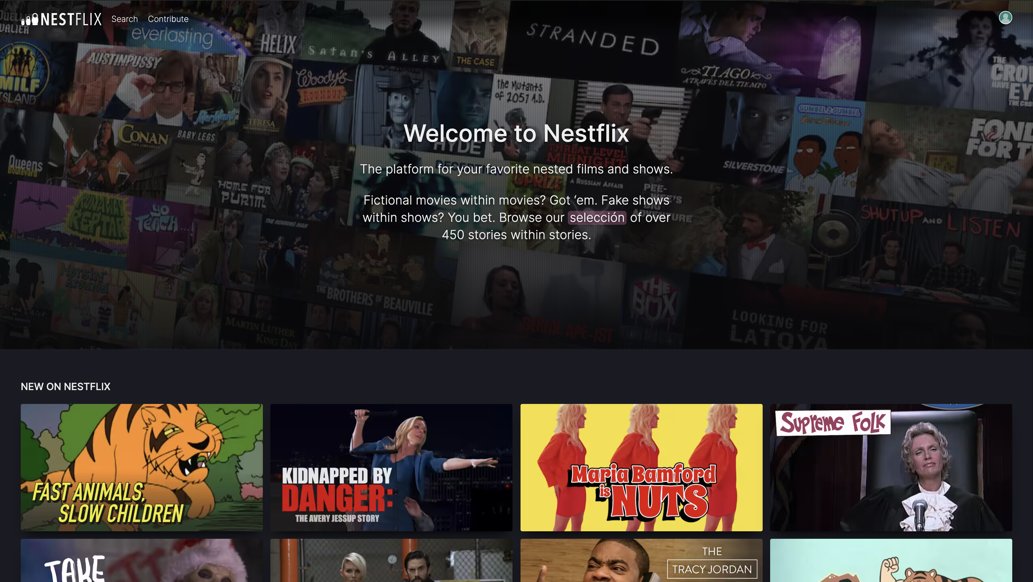 Nestflix gallery image