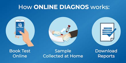 Online Diagnos gallery image