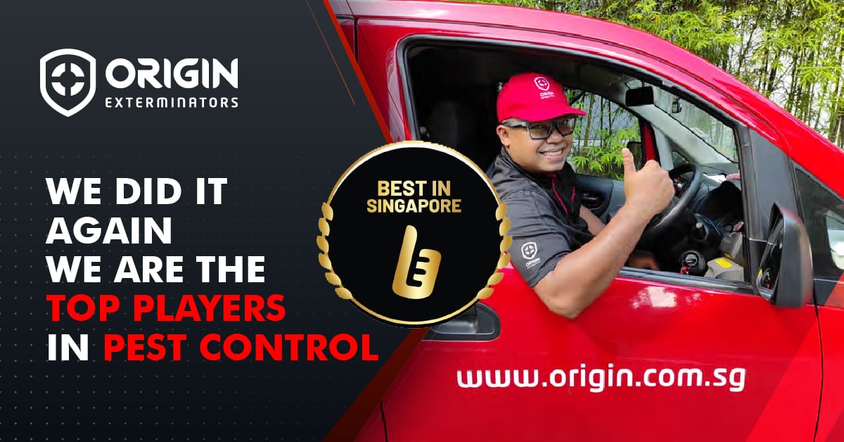 Pest Control Services Singapore gallery image