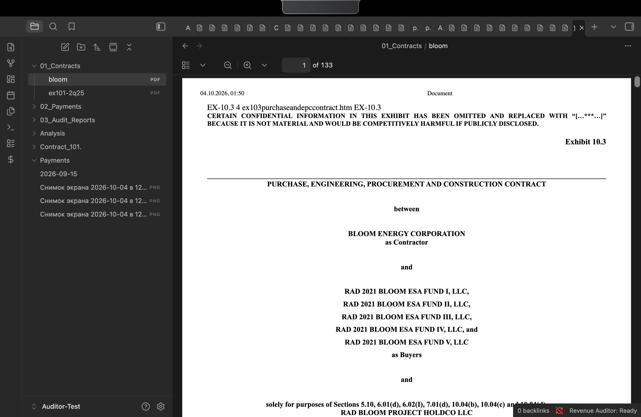 Revenue Auditor for Obsidian gallery image