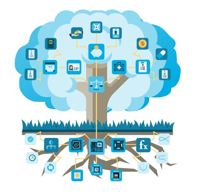 Cypherium gallery image