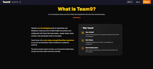 Team9 gallery image