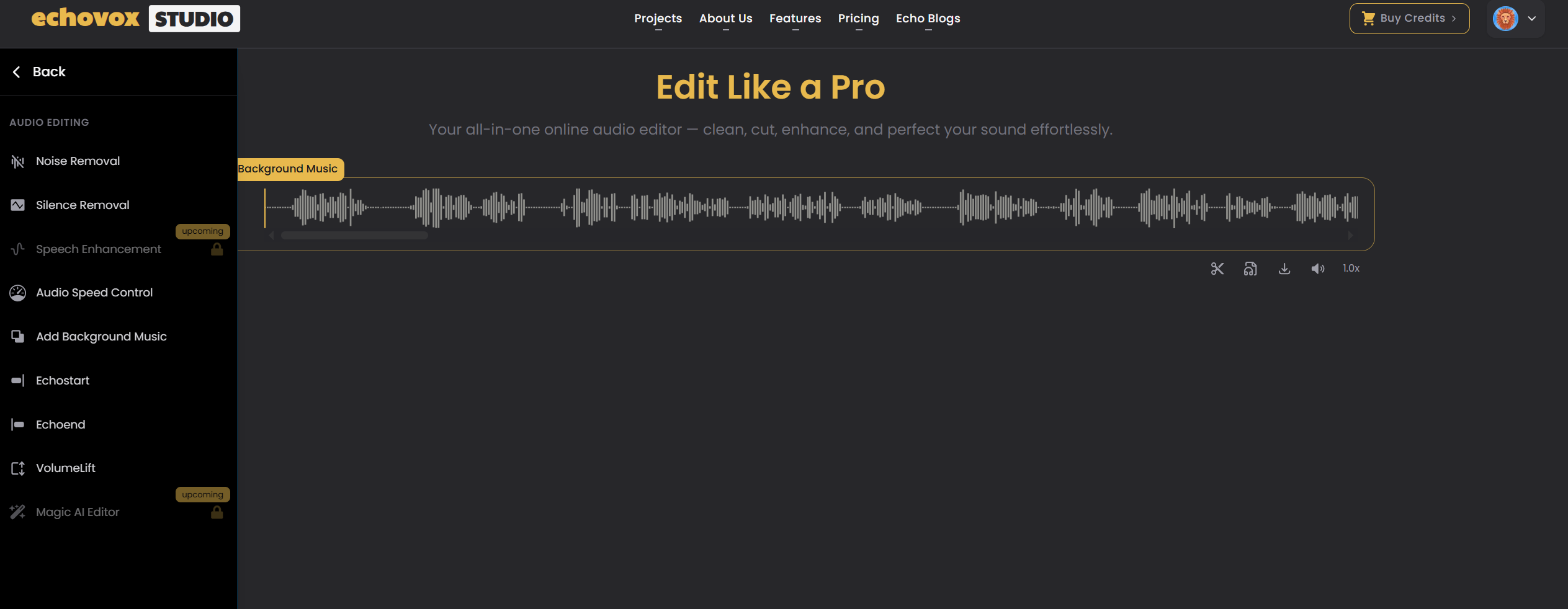 Echovox Studio media 5