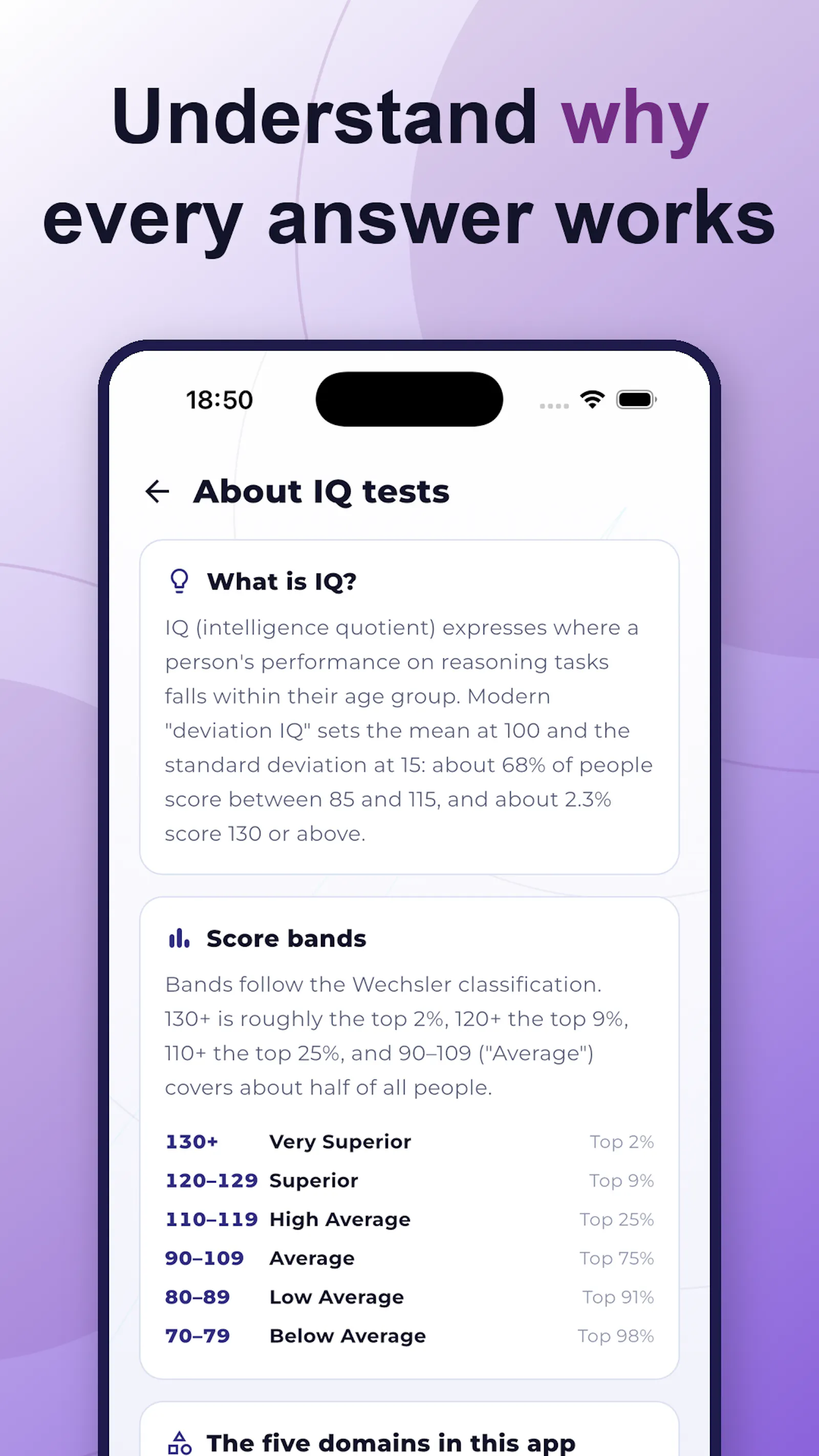 5-Minute IQ Test screenshot 5