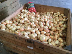 VidaliaOnions.com gallery image