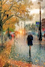 Google Certified Ads Expert. gallery image