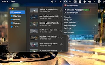 Vidwall gallery image