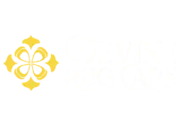 Devine Rug Care