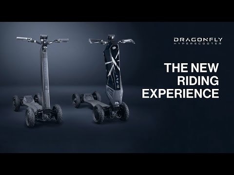 Dragonfly gallery image