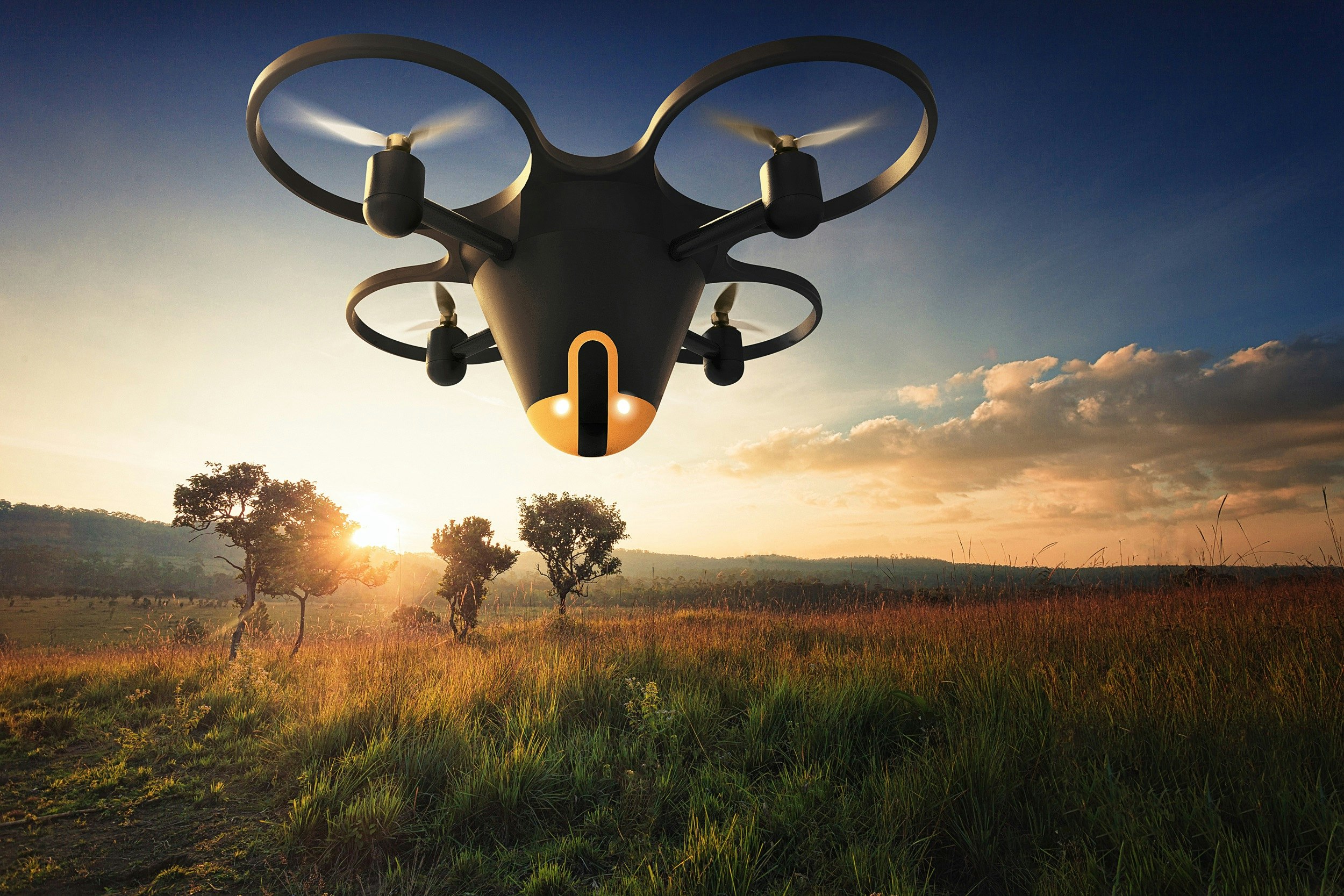 Sunflower Labs gallery image