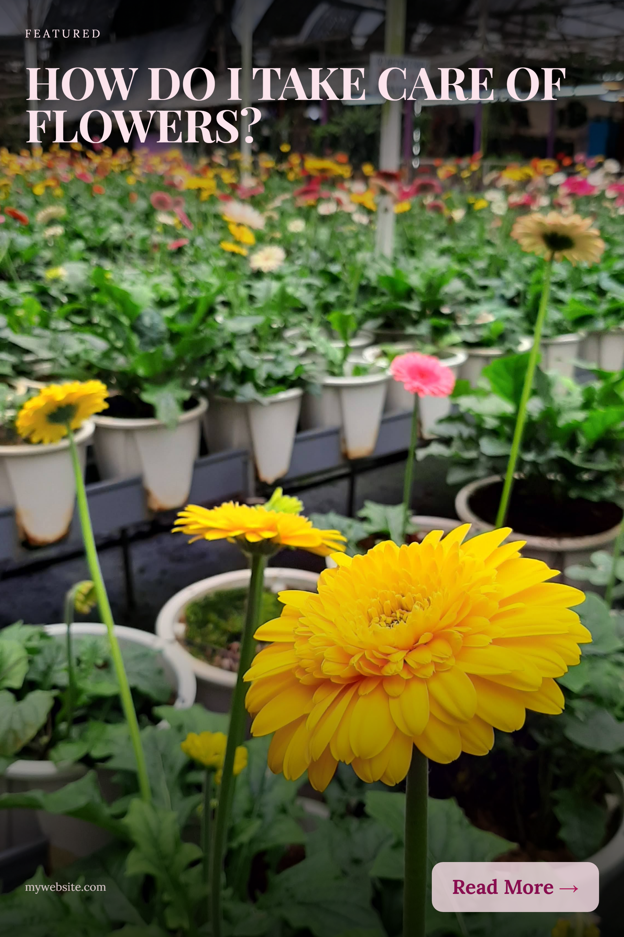 Pinterest Pins generator - Screenshot 2 showing product features and functionality