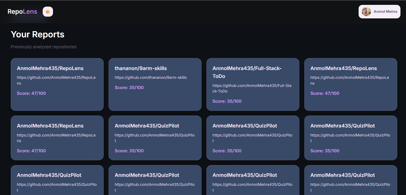 RepoLens screenshot 6