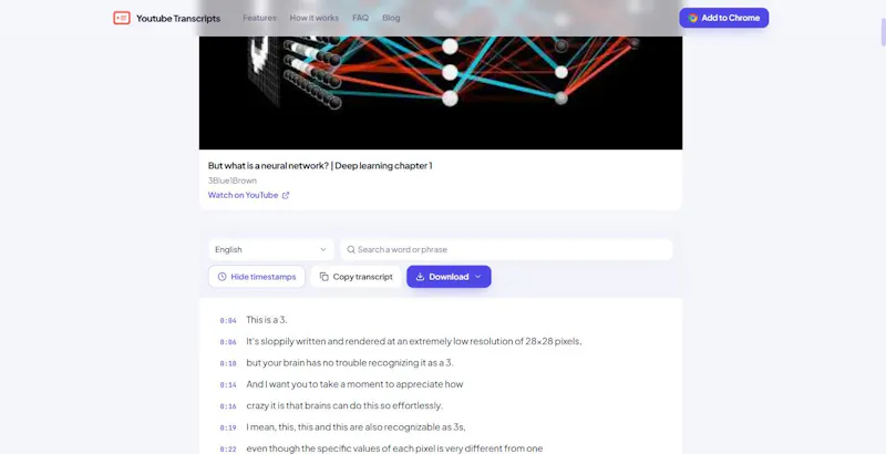 Youtube Transcripts screenshot 2
