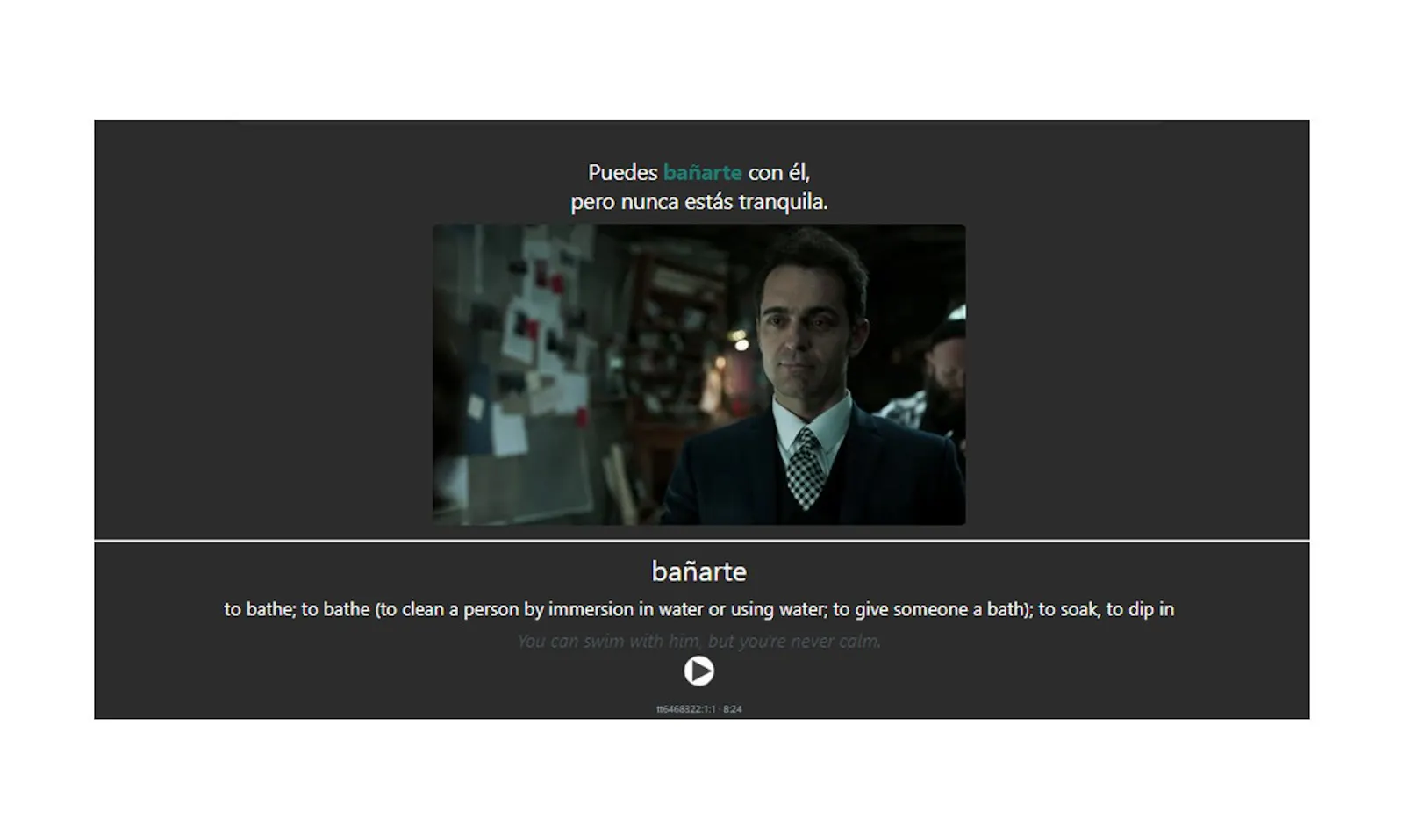 Polyglot Subs screenshot 7