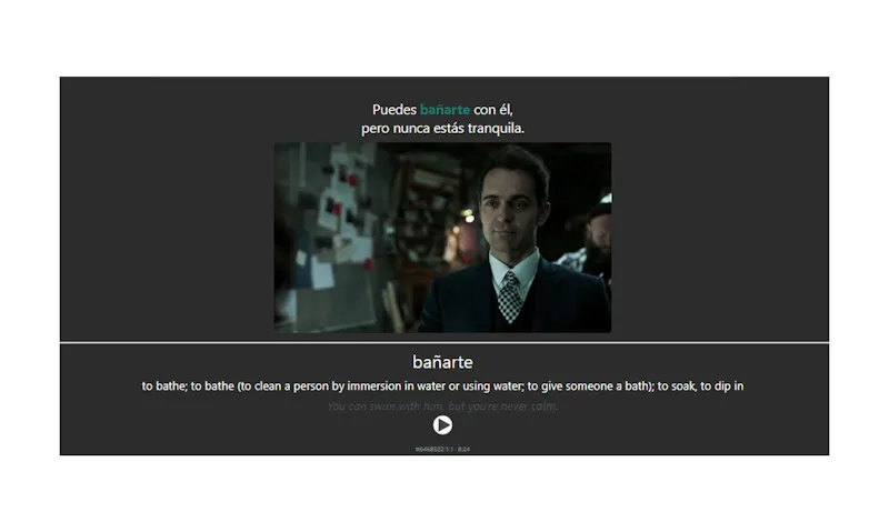 Polyglot Subs screenshot 7