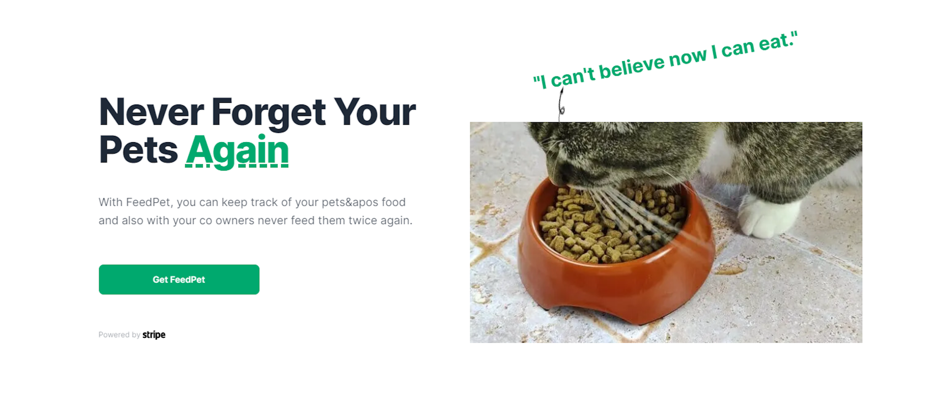 Feedpet media 1
