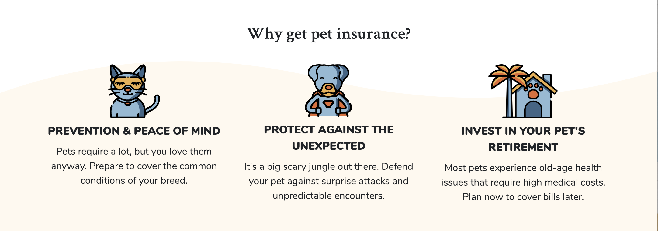 Pawlicy gallery image