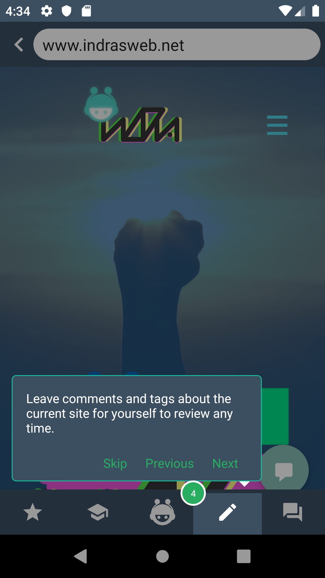 Indra Web Overlay gallery image