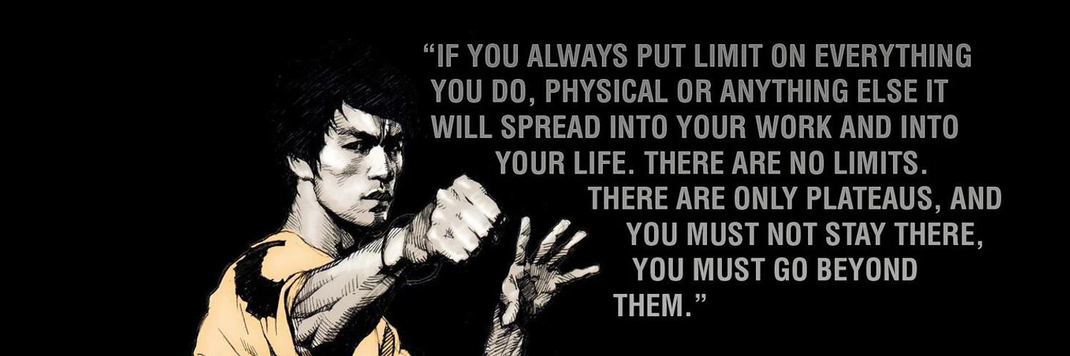 Gabriel Nechita cover