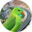 Absolutool