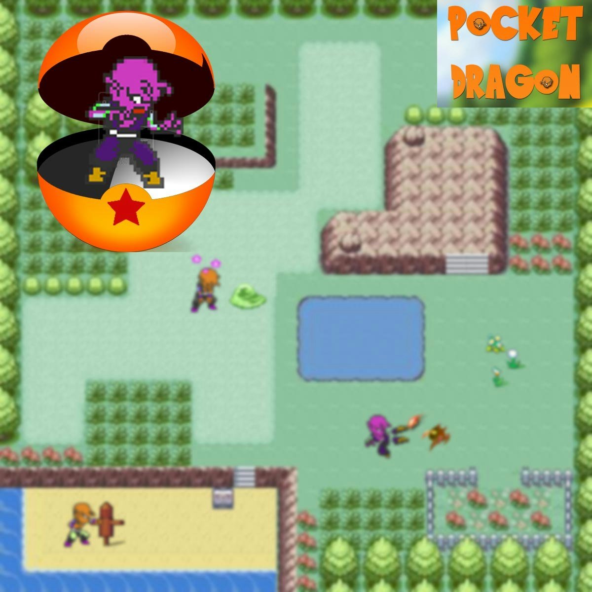 Pocket Dragon gallery image