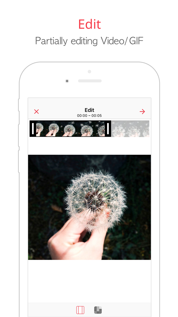 intoLive gallery image