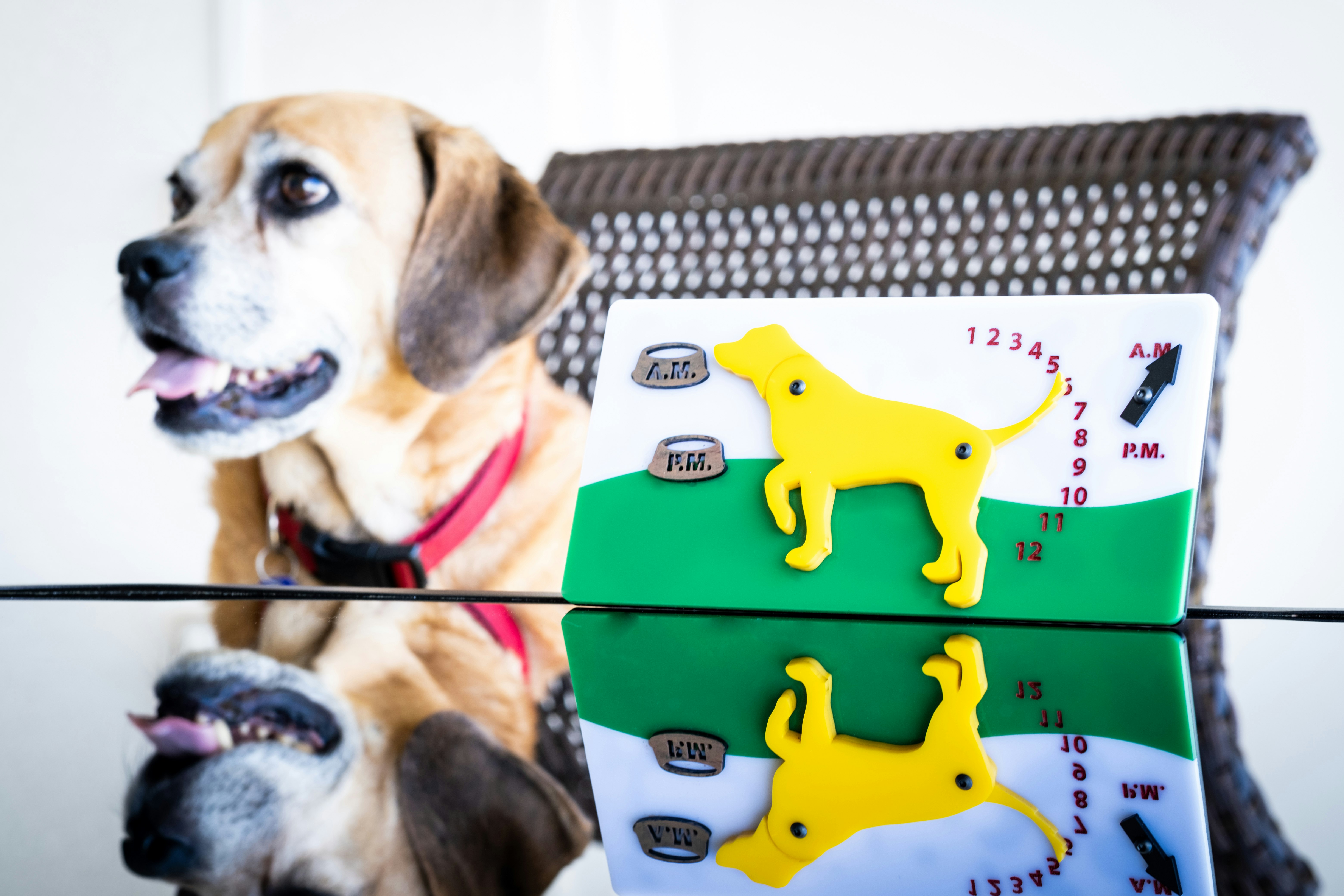 WooF Tracker gallery image