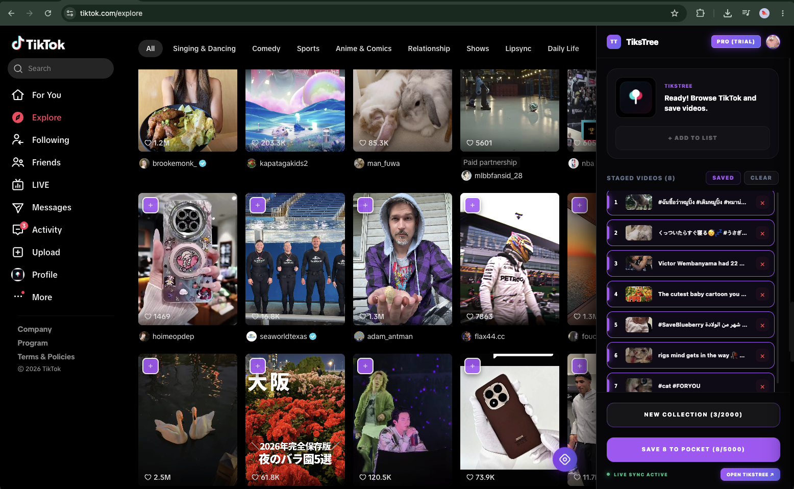 TikStree — Your Personal TikTok Playlist gallery image