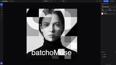 BatchoMuse gallery image