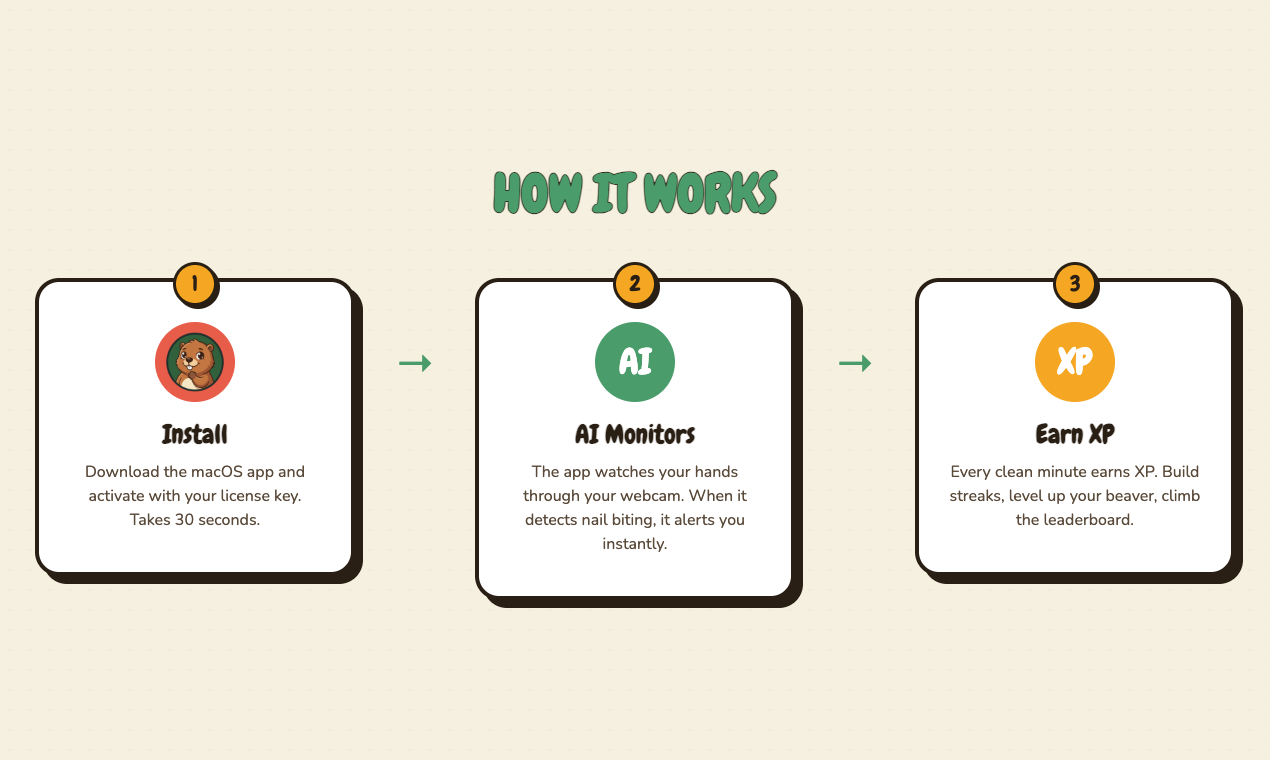 Chill Beaver gallery image