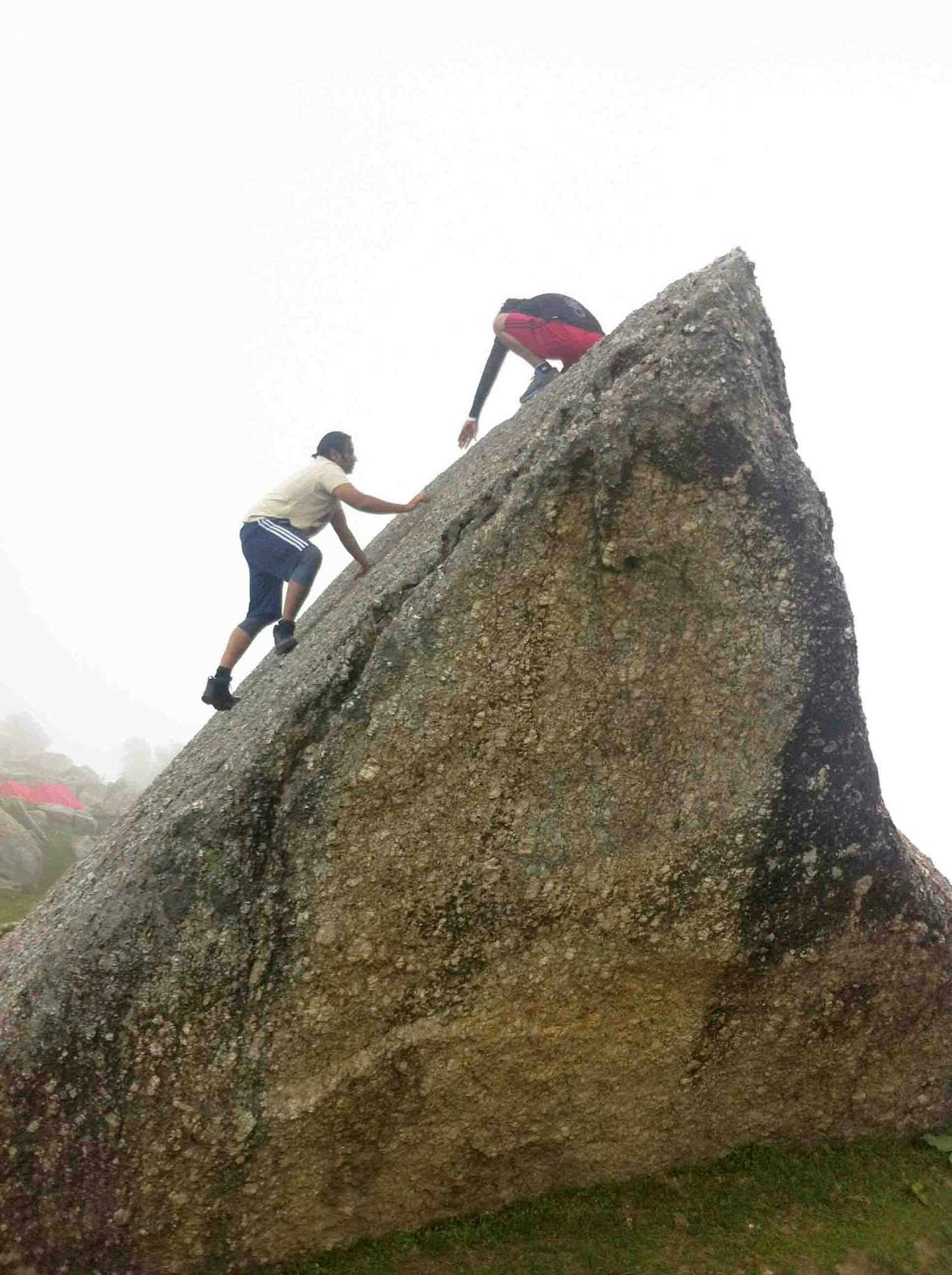 Yolo-India gallery image