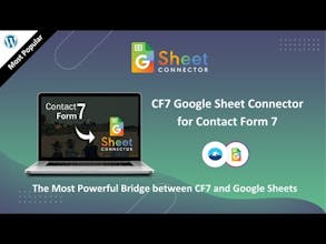 CF7 Google Sheet Connector for WordPress gallery image
