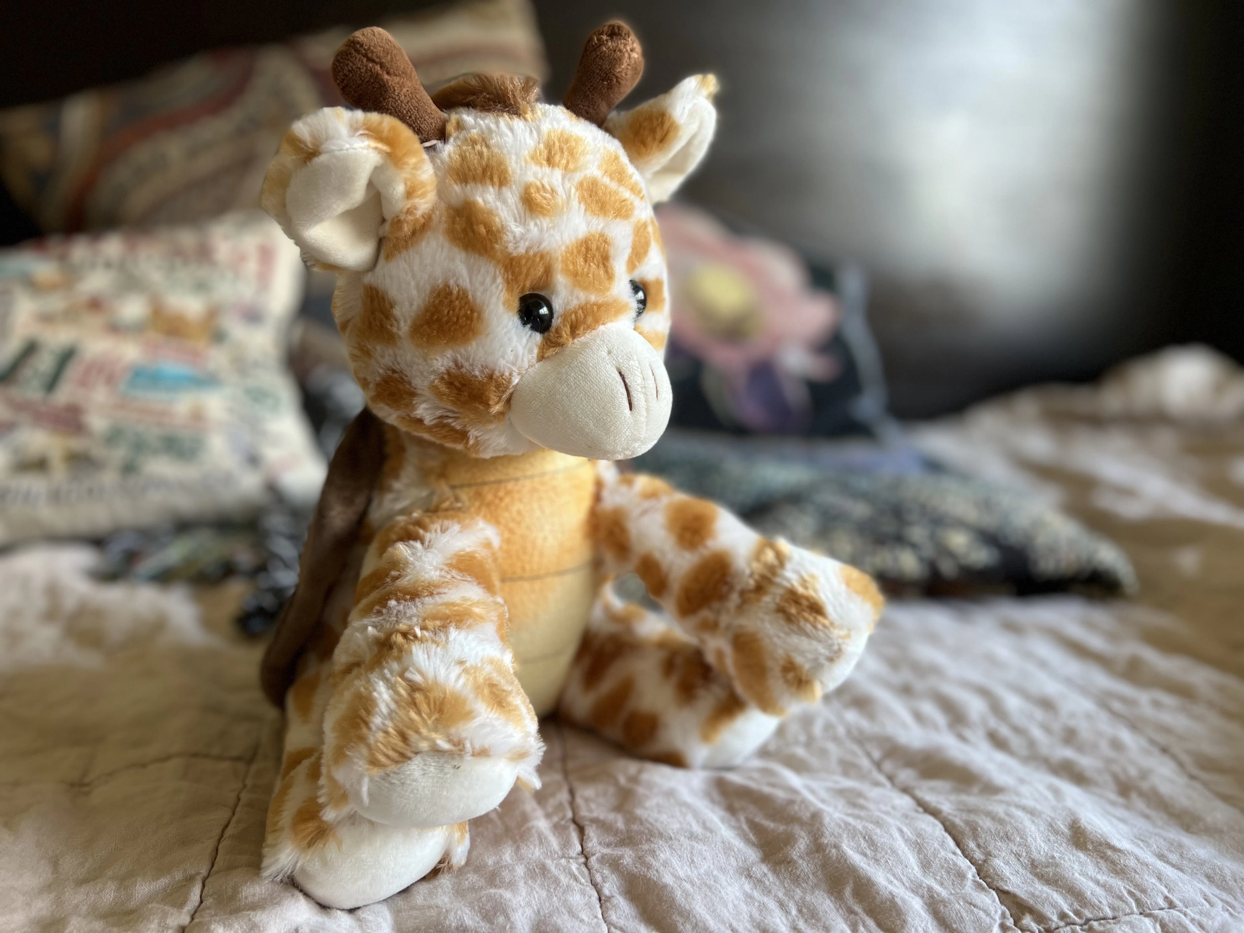 Girtle the Giraffe/Turtle mix