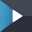 Videogram