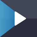 Videogram