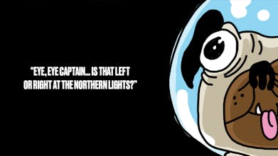 Pugs In Space gallery image