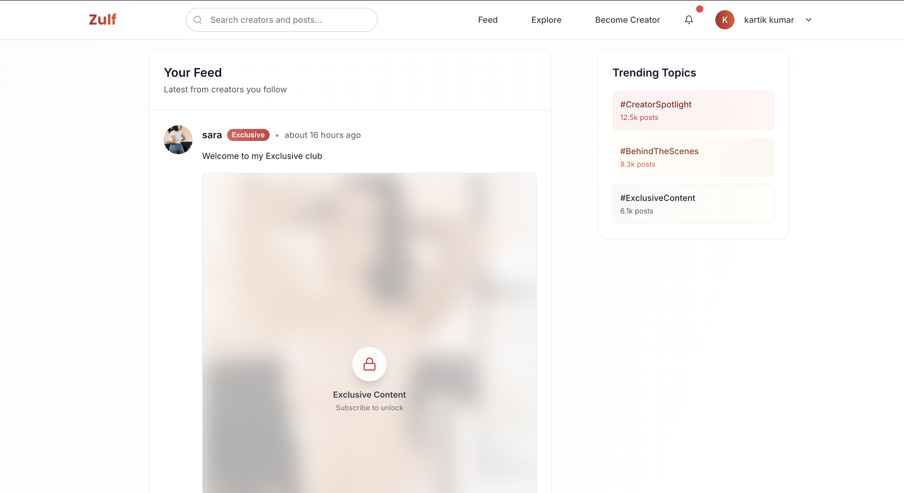 Zulf - Piattaforma del Creatore indiano premium media 2
